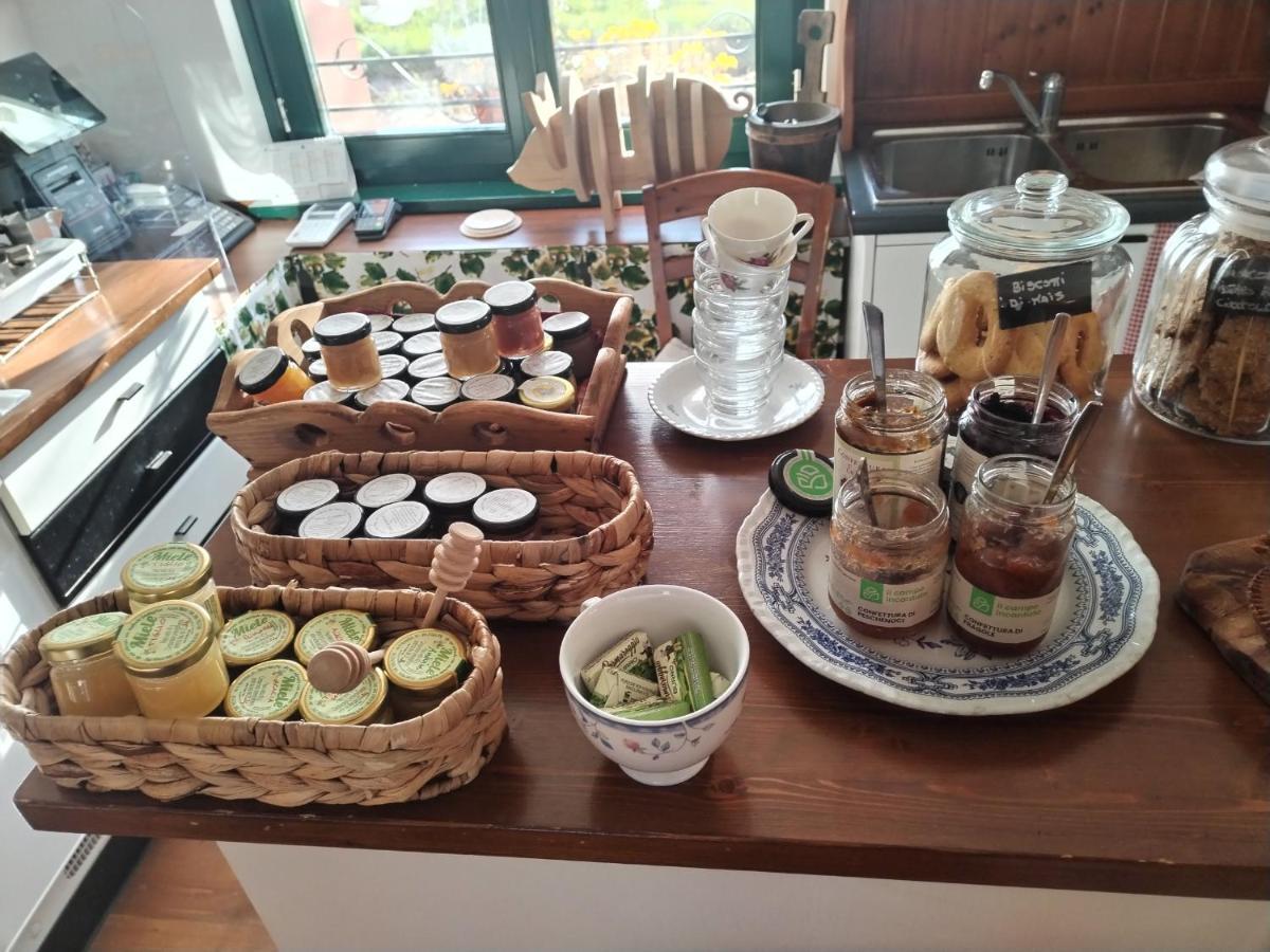 Agriturismo Le Oche Selvatiche Lauzacco Ngoại thất bức ảnh