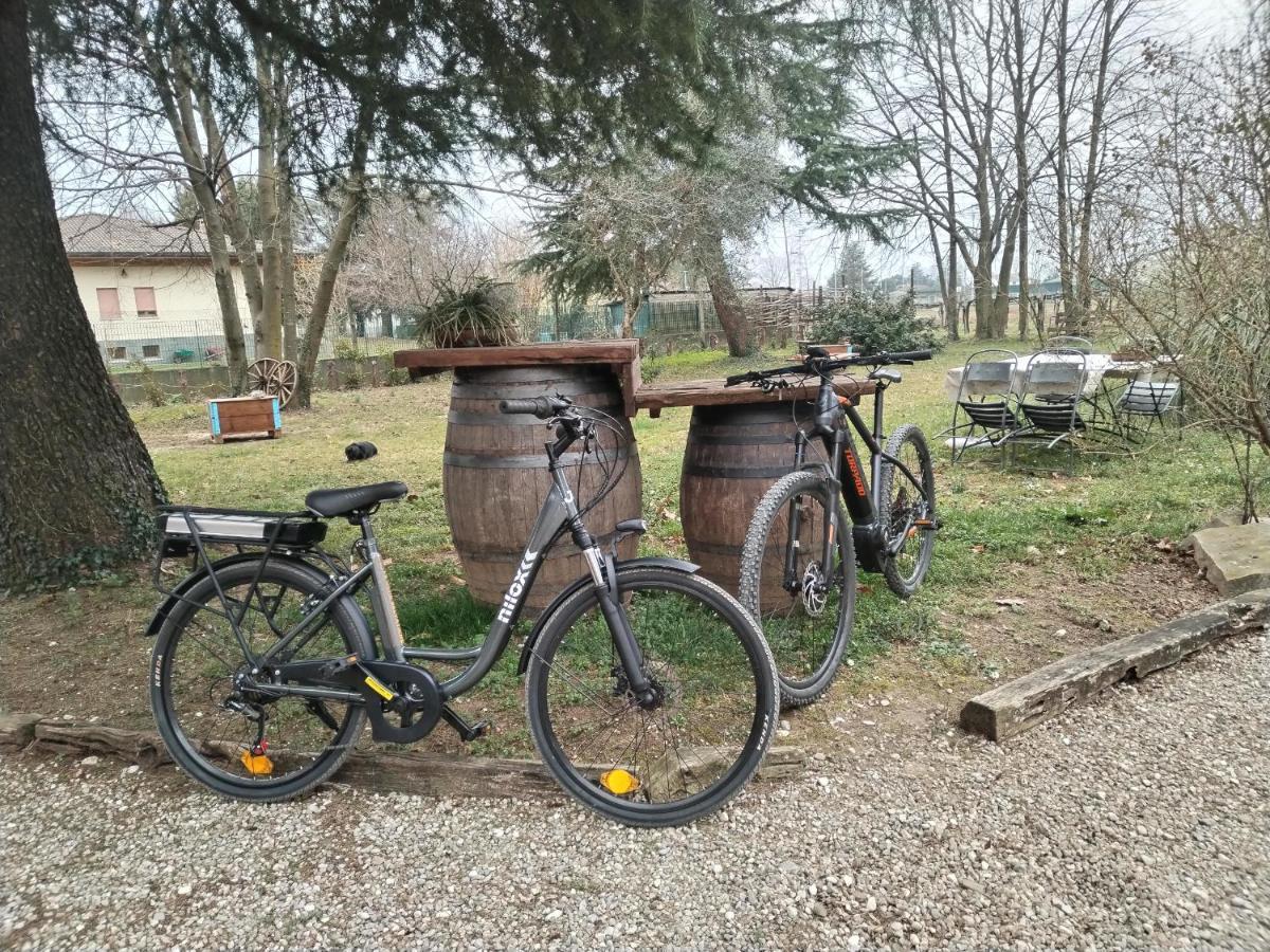 Agriturismo Le Oche Selvatiche Lauzacco Ngoại thất bức ảnh