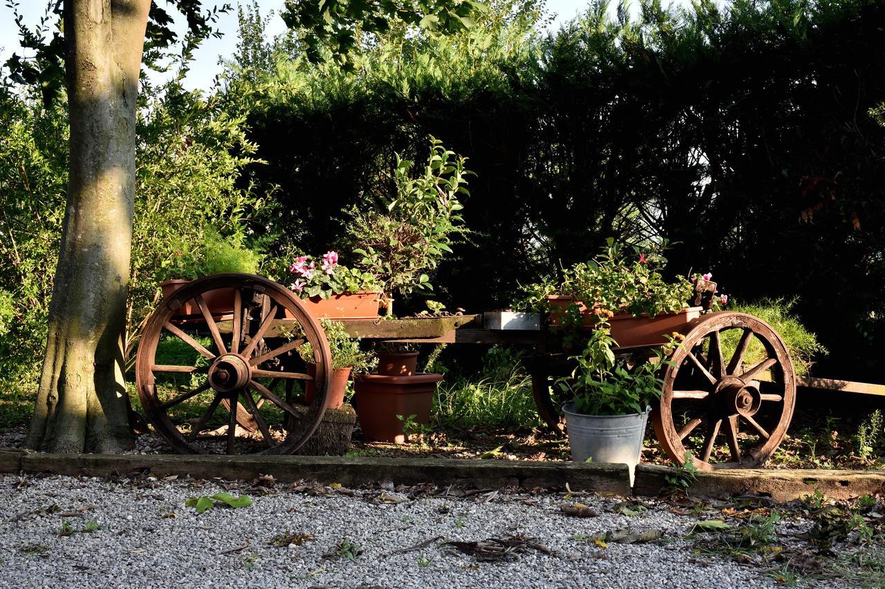 Agriturismo Le Oche Selvatiche Lauzacco Ngoại thất bức ảnh