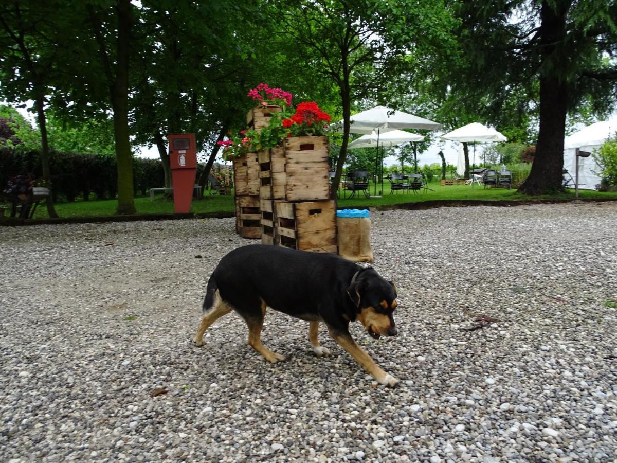 Agriturismo Le Oche Selvatiche Lauzacco Ngoại thất bức ảnh
